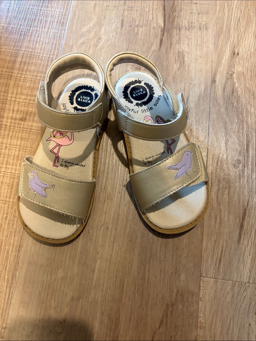 Livie and Luca Bird sandals